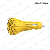 비트 Q1